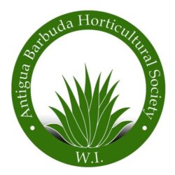 Antigua Barbuda Horticultural Society, @Agave Gardens